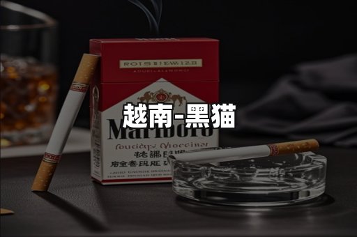 越南黑猫